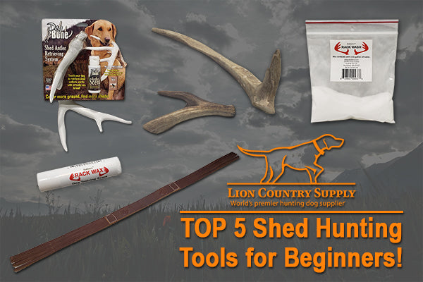Hunting Antler Sheds - Alabama Cooperative Extension System