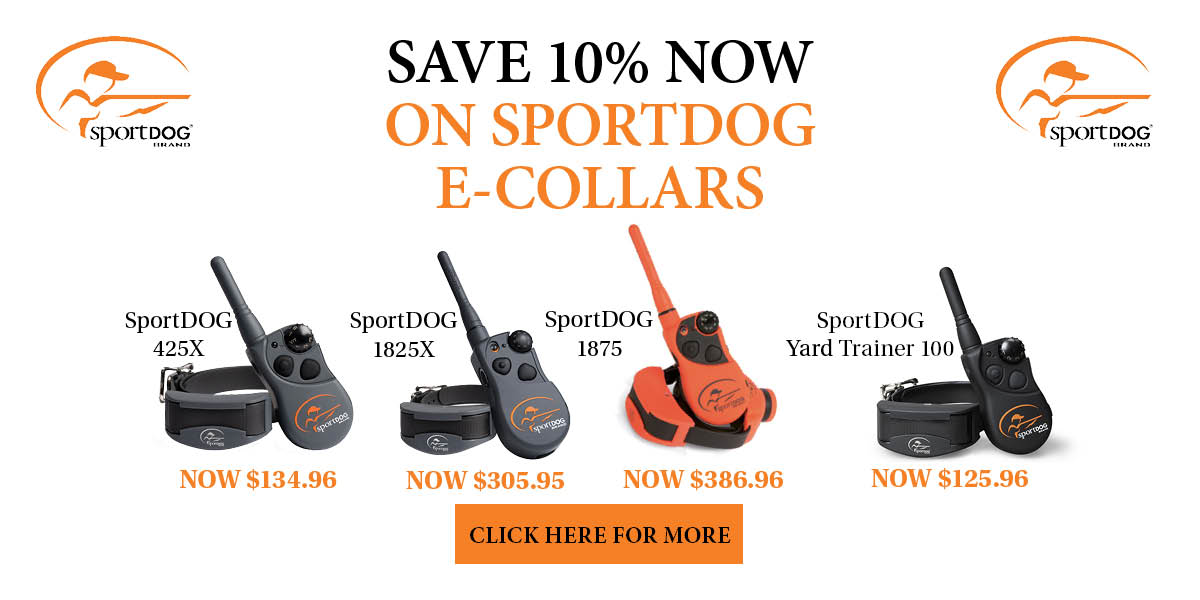 SportDOG February 2025 E-Collar Promotion