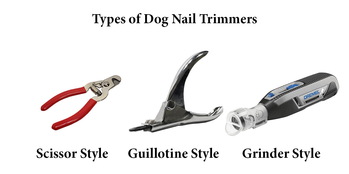 Different Types of Dog Nail Trimmers