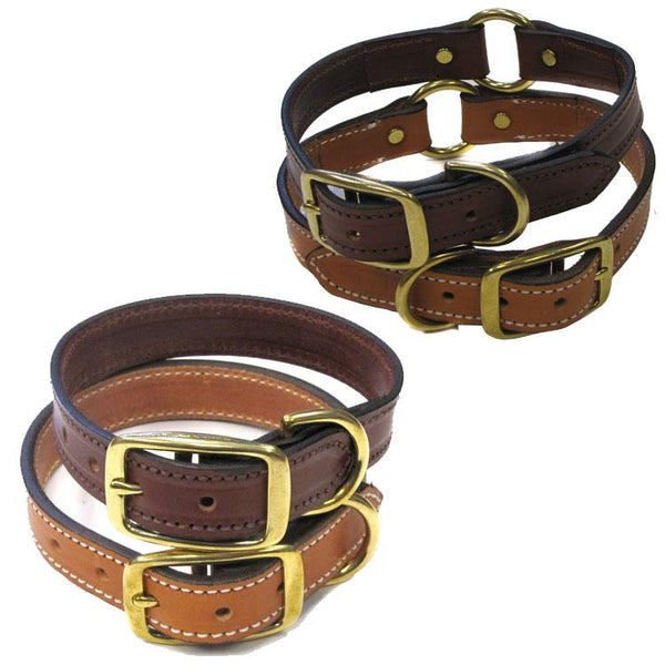 Lion country on sale supply dog collars