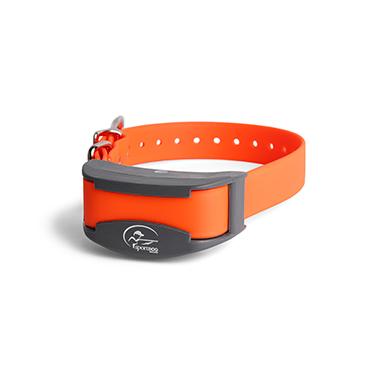 Lion country dog sales collars