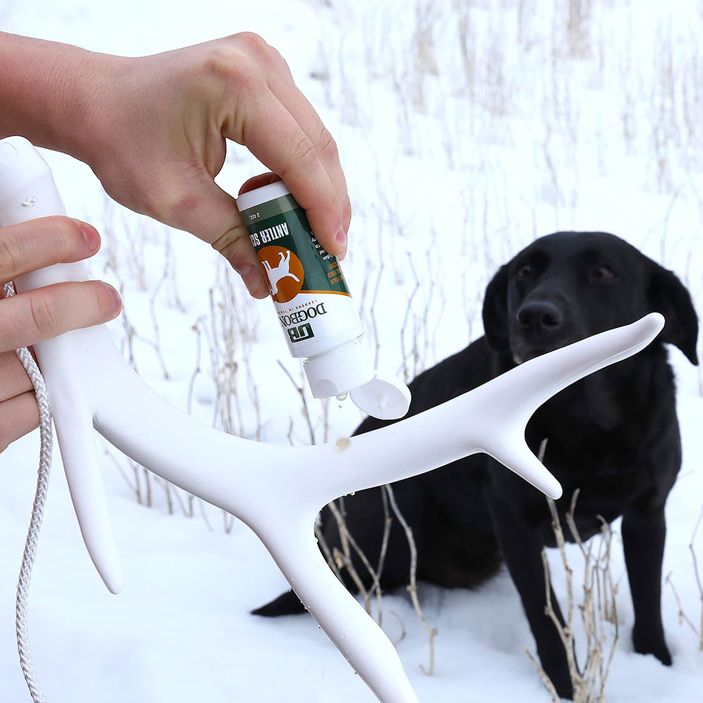 DogBone Antler Shed Training Kit Lifestyle Image