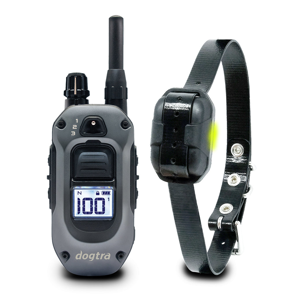 Dogtra 280X E-Collar System