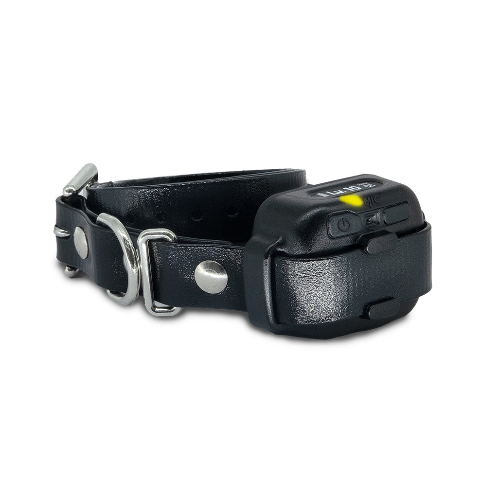 Dogtra Smart NoBark Collar