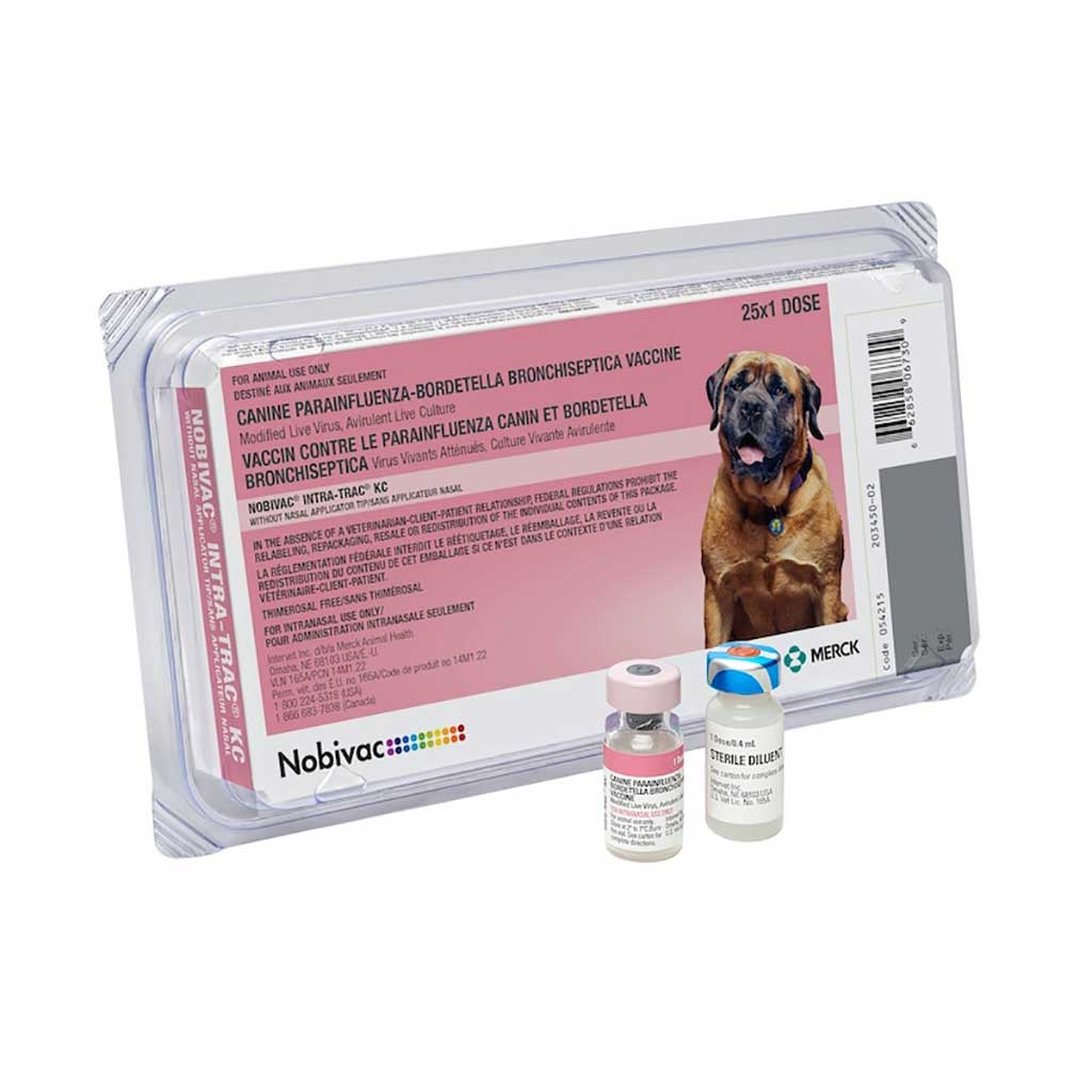 Kennel Cough Vaccine Single Dose