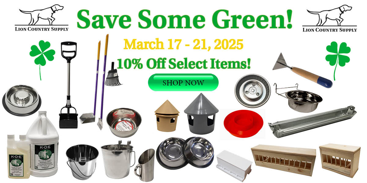 Save Some Green Promotion