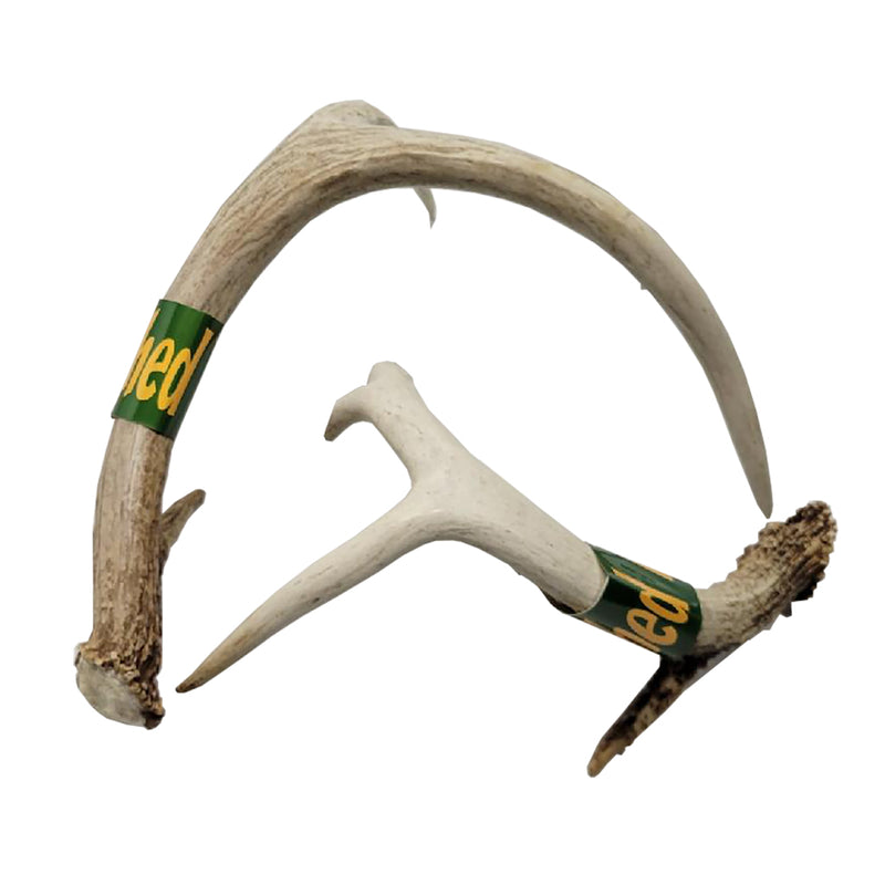 LCS Shed Antlers