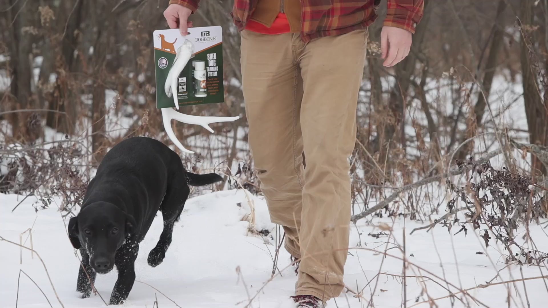 DogBone Shed Training Kit Video