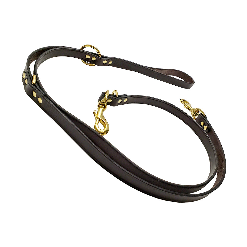 Hunting dog leads outlet with chain