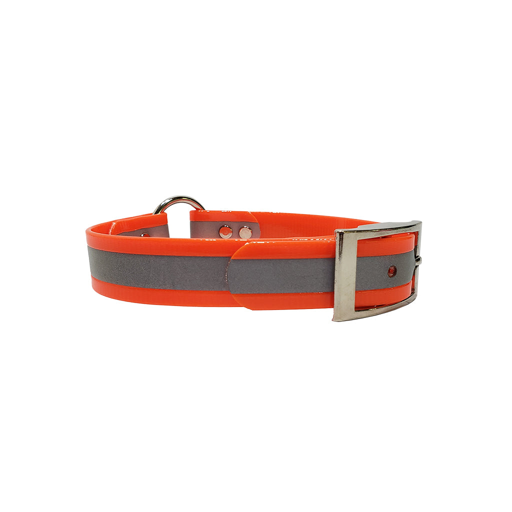 LCS Reflective Dayglo 1 Inch D-Ring Collar