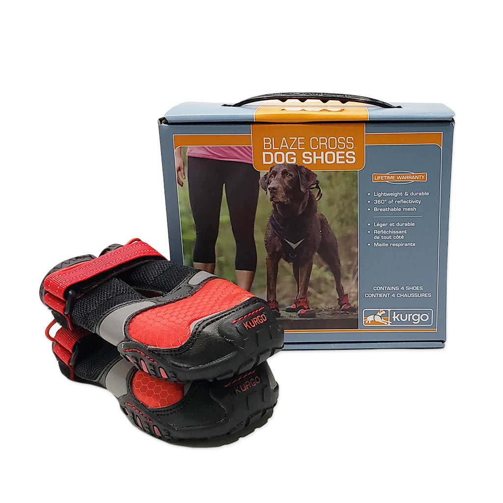 Kurgo best sale dog boots