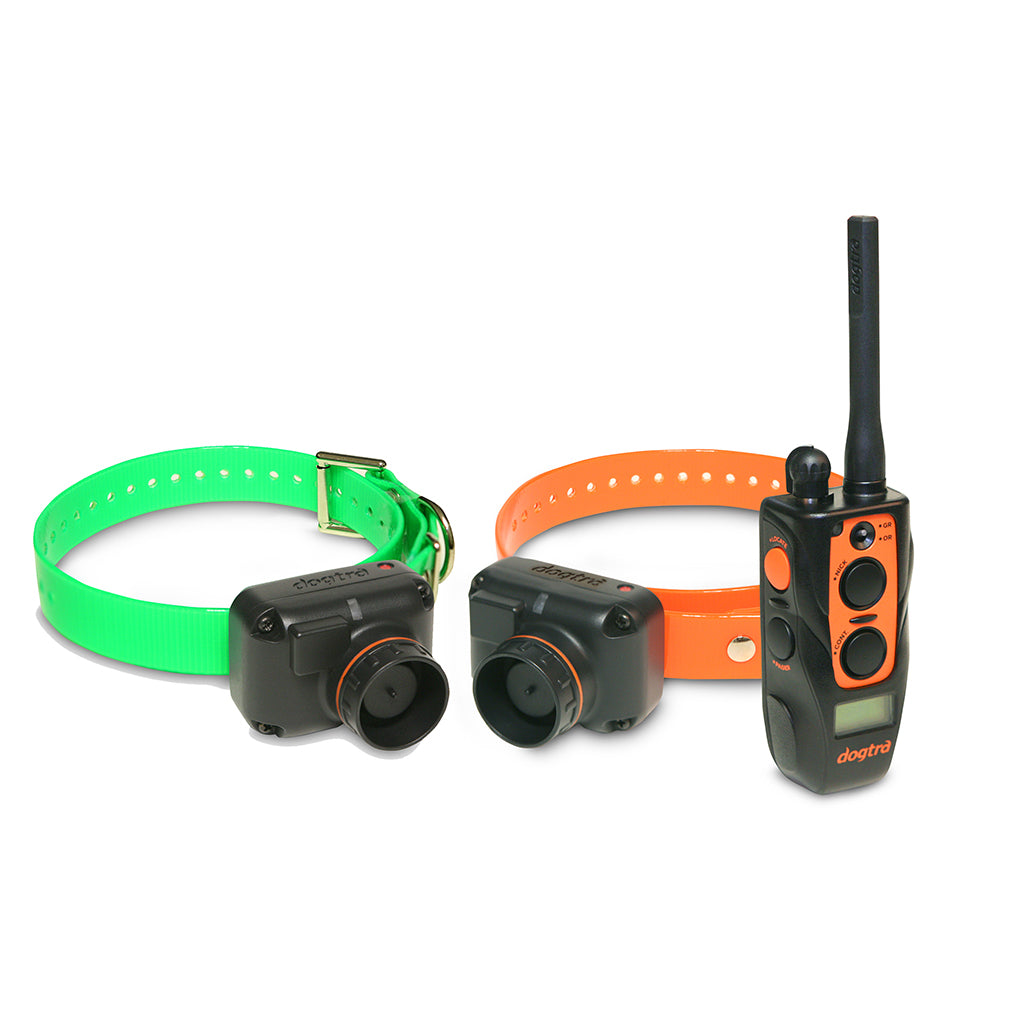 Dogtra 2700 t&b training and best sale beeper collar