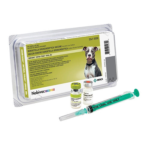 Oral Bordetella Canine Vaccine