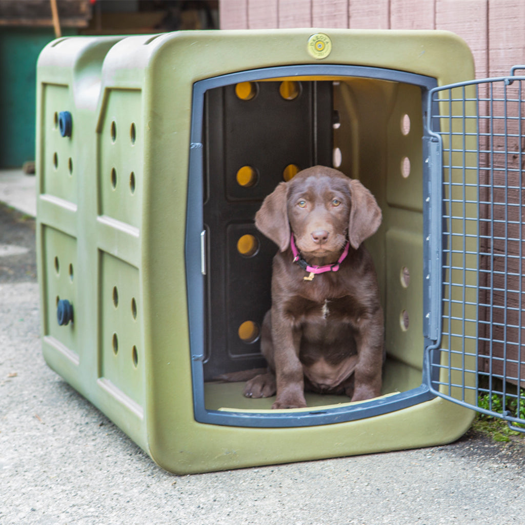 Dakota 283 Medium Forever Kennel Divider For Kennels