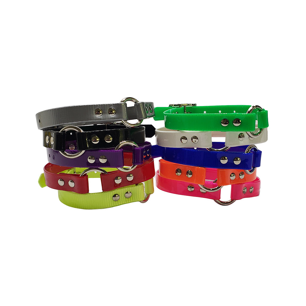 Dayglo dog outlet collars