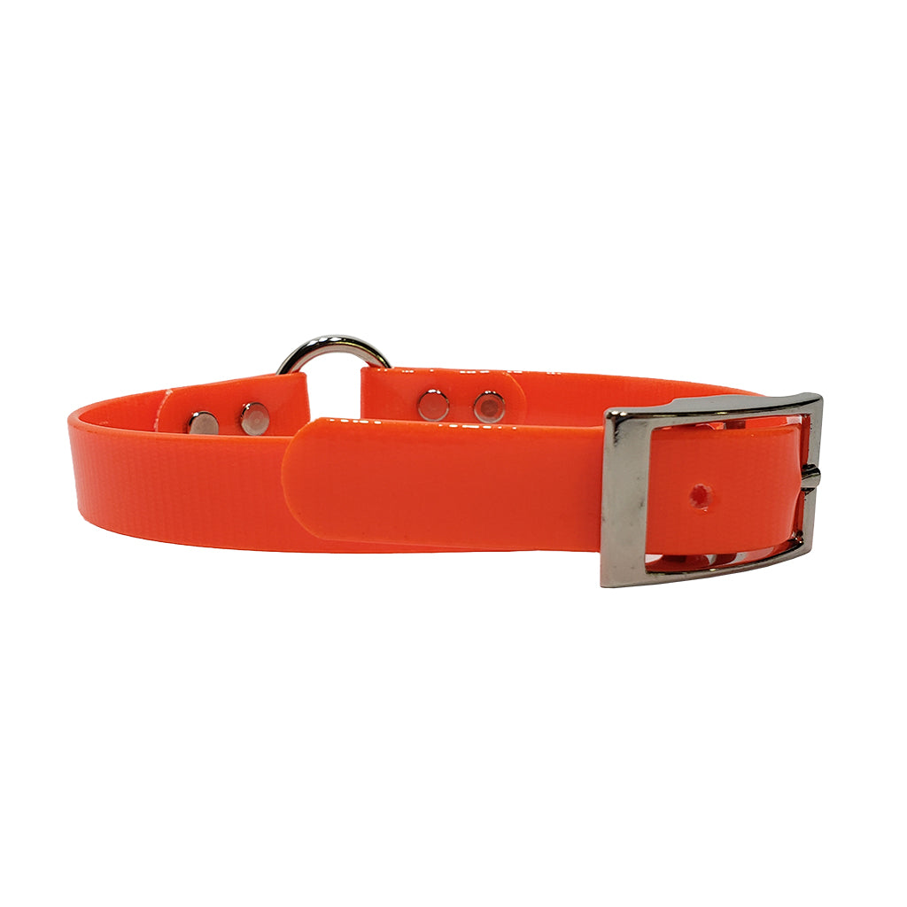 Dayglo dog collars best sale