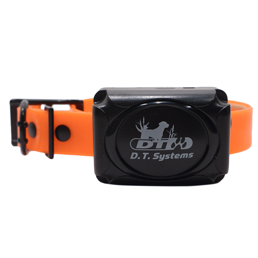 DT Systems BTB800 Baritone Beeper Collar