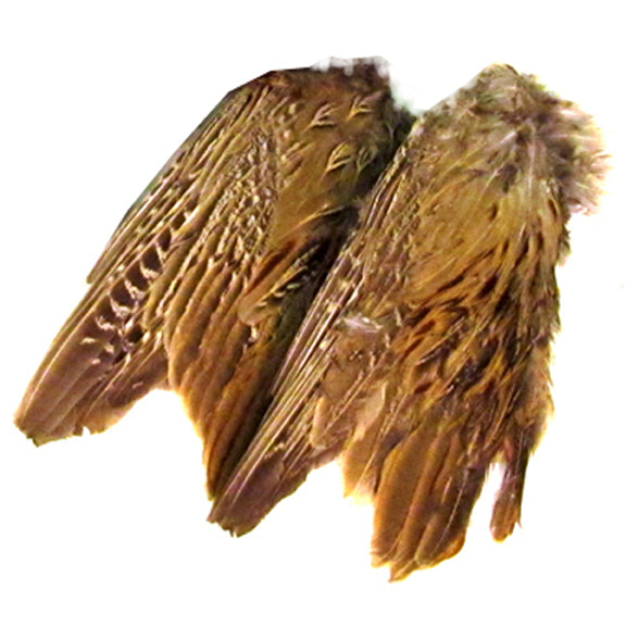 Freeze Dried Pheasant Wings