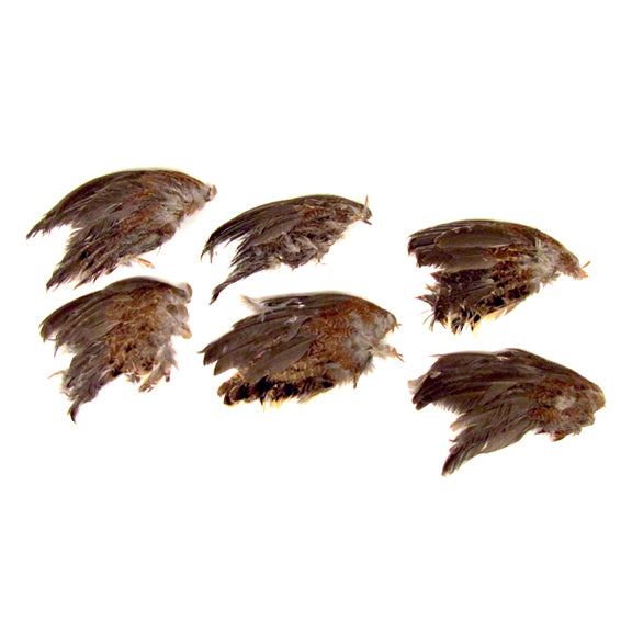 Freeze Dried Quail Wings