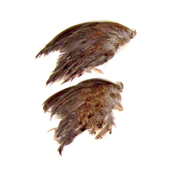 Freeze Dried Quail Wings