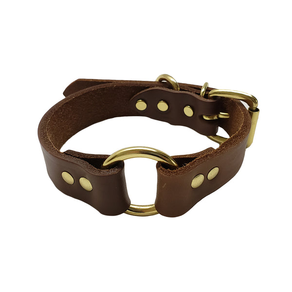 O ring outlet dog collar