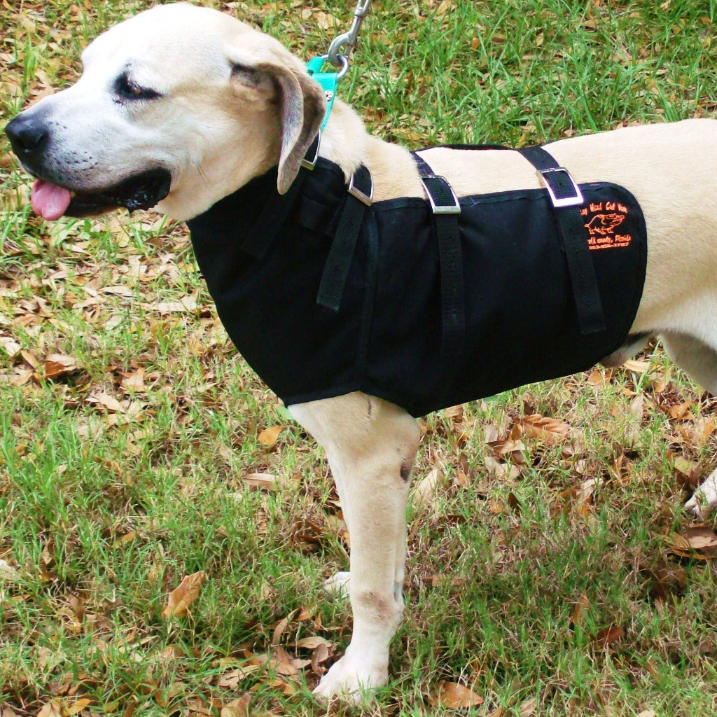 Hog Dog Cut Vest Full Dog Vest for Safety Protect Against Hogs