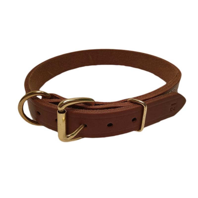 LCS Grand National Championship 1" D-Ring Collar