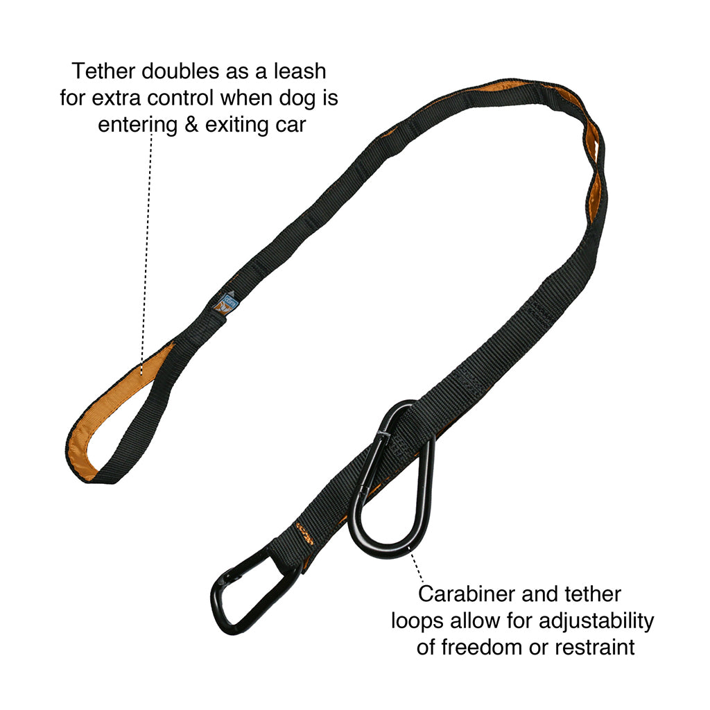 Kurgo Auto Zip Line With Tether