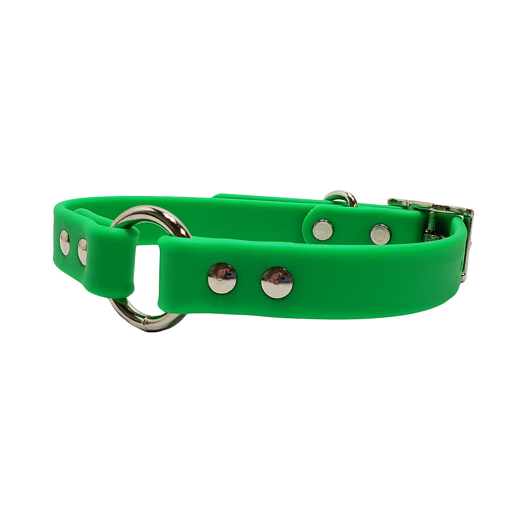 Detroit Red Wings Pet Collar by Pets First