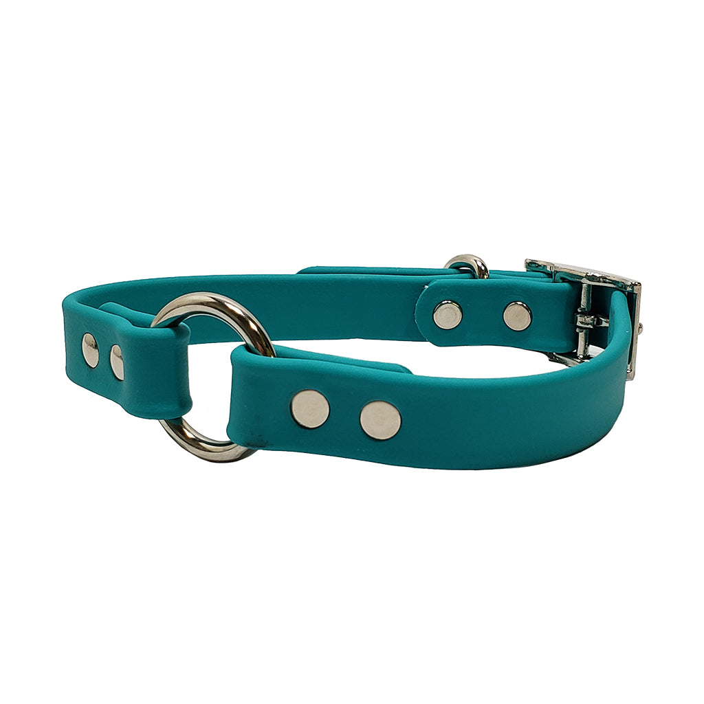 Teal leather outlet dog