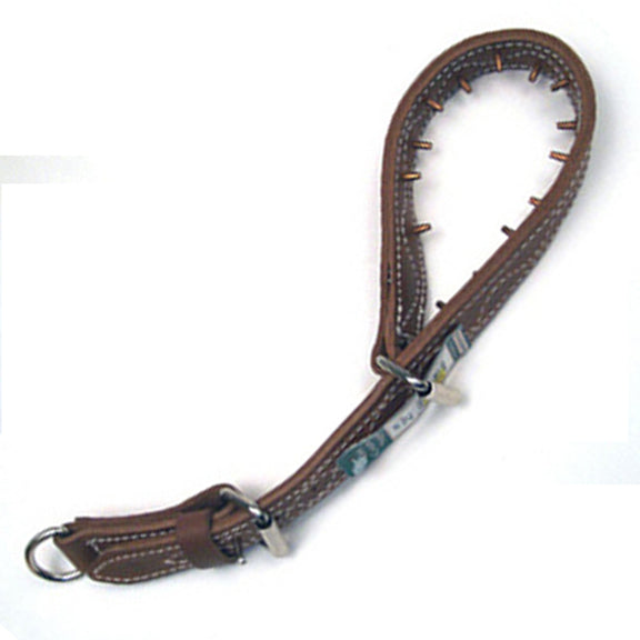 Pinch collar for dogs that pull hotsell