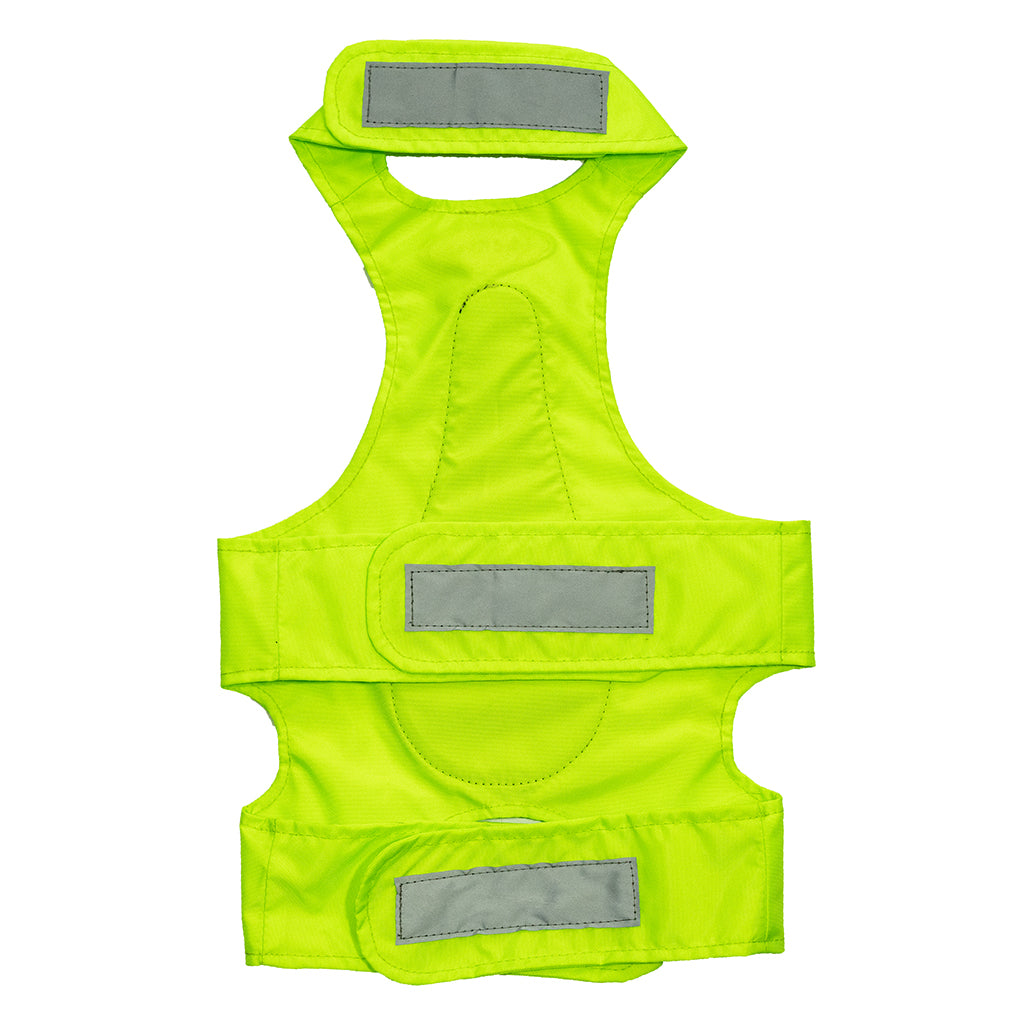 Toddler deals chest protector