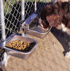 Nelson, Dog Feeder by Nelson Manufacturing Company