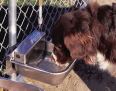 Nelson Automatic Dog Waterer Model 1200 Dog Bowls