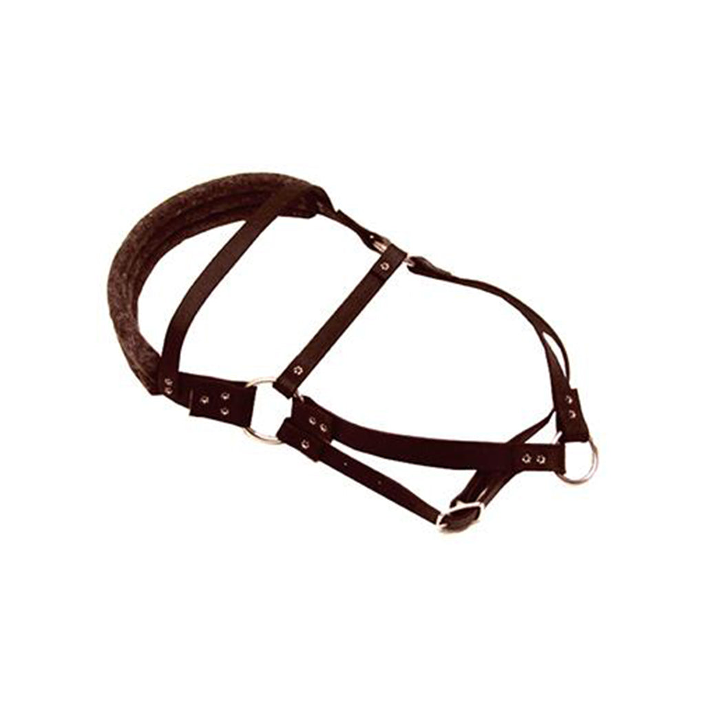 Dog shop roading harness