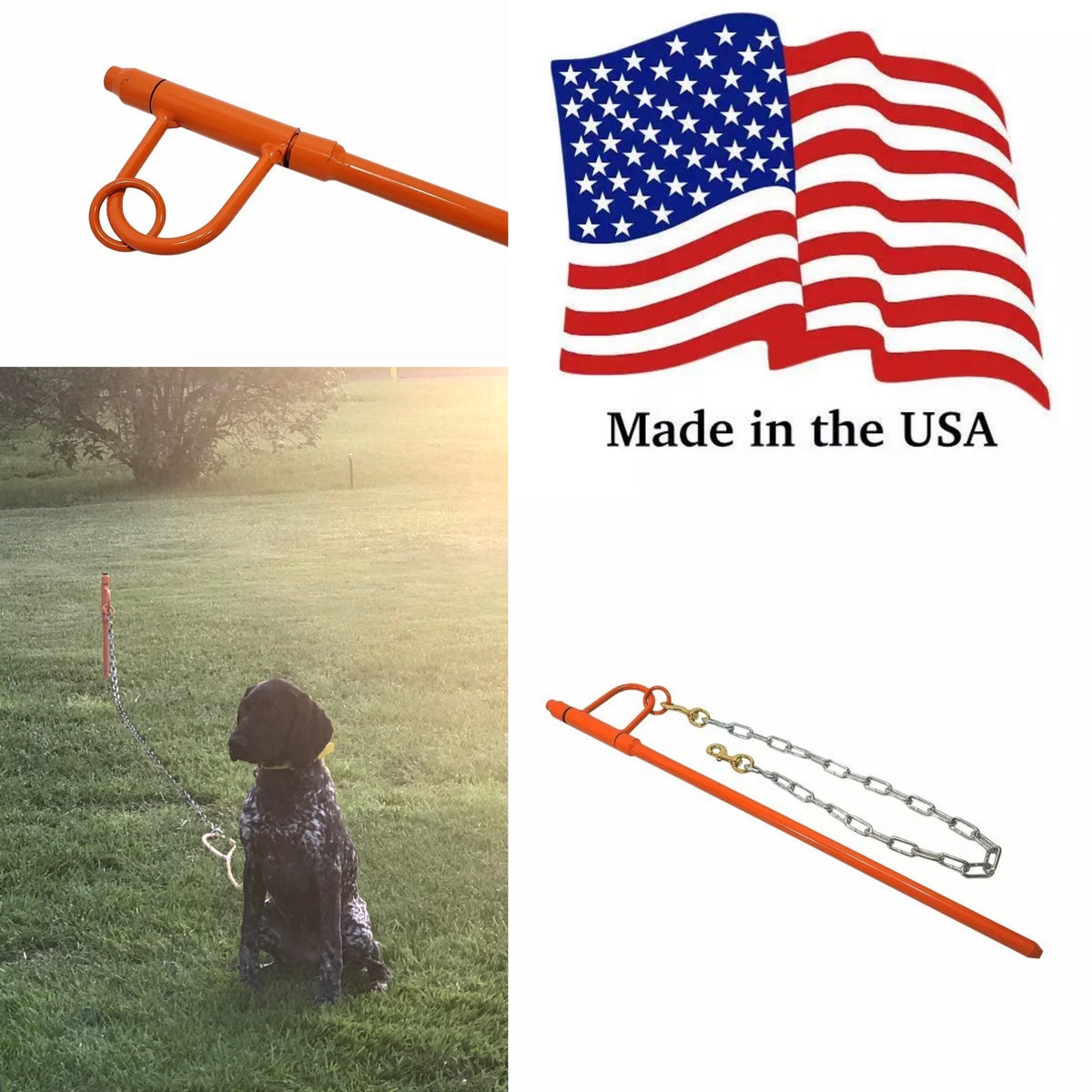 Hunting dog stake out sale