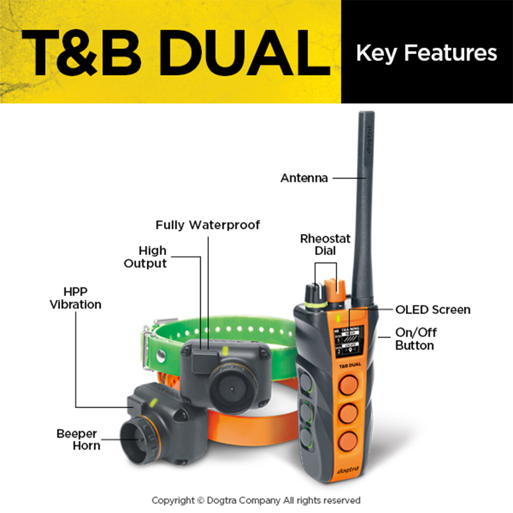 Dogtra T&B Dual 2-Dog