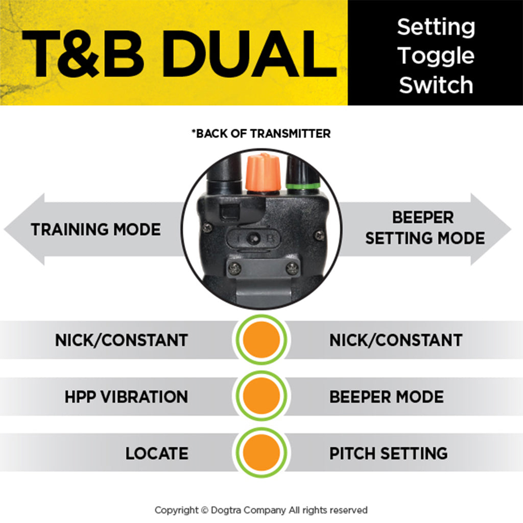 Dogtra T&B Dual 2-Dog