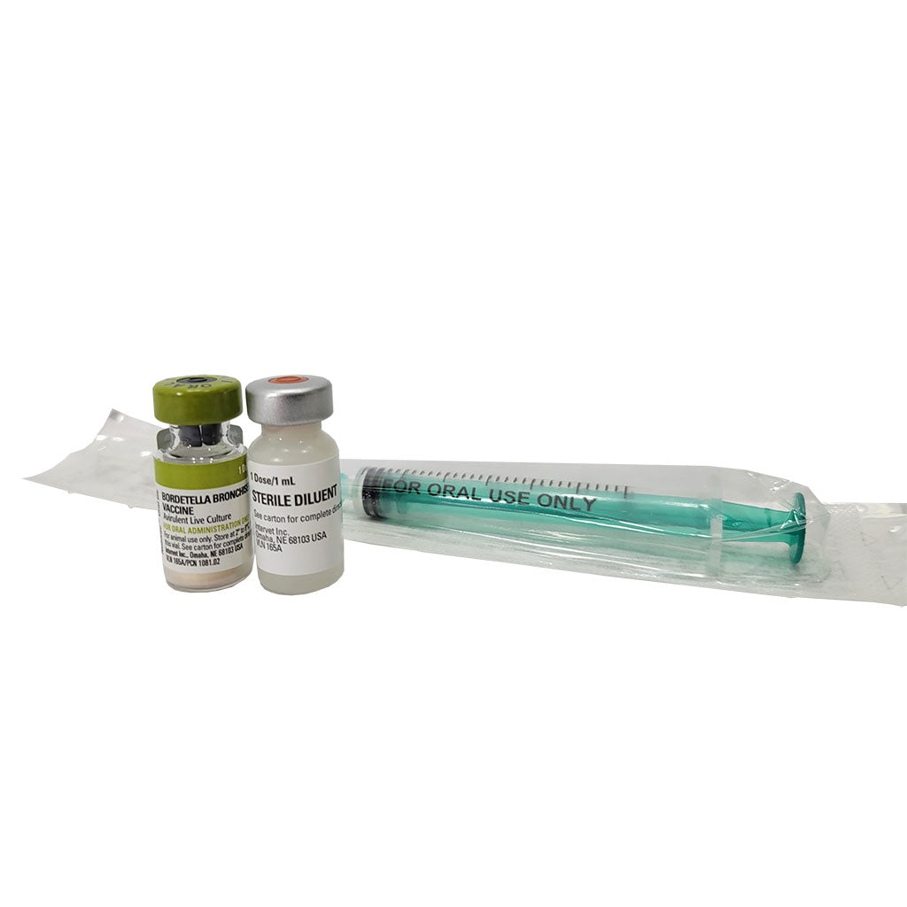 Oral Bordetella Canine Vaccine