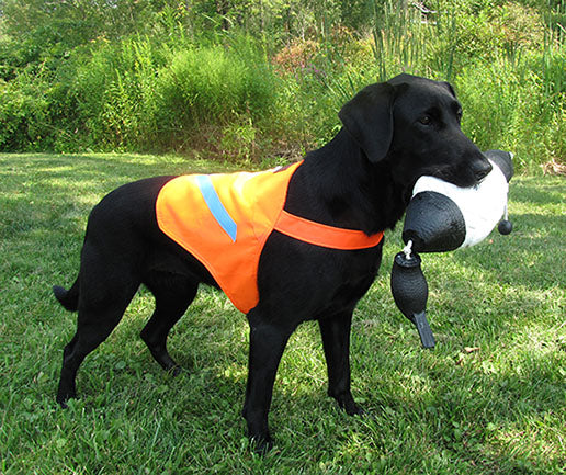 Beagle hunting vest best sale